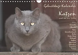 Kalender Geburtstags-Kalender Katzen... rund um den Globus (Wandkalender 2022 DIN A4 quer) von Wolfgang Rech
