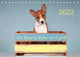 Kalender Ein Basenji Baby wird groß (Tischkalender 2022 DIN A5 quer) von Angelika Joswig
