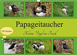 Kalender Papageitaucher Kleine Vögel im Frack CH Version (Wandkalender 2022 DIN A3 quer) von Babett Paul - Babett's Bildergalerie