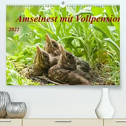 Kalender Amselnest mit Vollpension (Premium, hochwertiger DIN A2 Wandkalender 2022, Kunstdruck in Hochglanz) von Kerstin Waurick