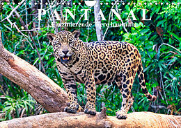 Kalender Pantanal: Faszinierende Tiere hautnah (Wandkalender 2022 DIN A4 quer) von Michael Kurz