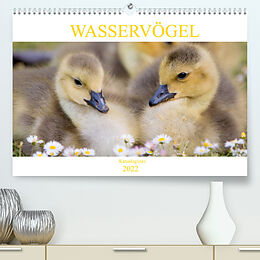 Kalender Wasservögel - Kanadagänse (Premium, hochwertiger DIN A2 Wandkalender 2022, Kunstdruck in Hochglanz) von pixs:sell