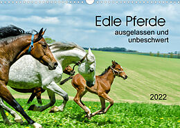 Kalender Edle Pferde - ausgelassen und unbeschwert (Wandkalender 2022 DIN A3 quer) von Kerstin Waurick
