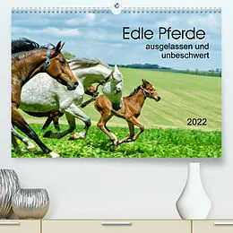 Kalender Edle Pferde - ausgelassen und unbeschwert (Premium, hochwertiger DIN A2 Wandkalender 2022, Kunstdruck in Hochglanz) von Kerstin Waurick