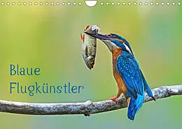 Kalender Blaue Flugkünstler (Wandkalender 2022 DIN A4 quer) von Dorothea OLDANI