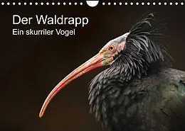 Kalender Der Waldrapp - Ein skurriler Vogel (Wandkalender 2022 DIN A4 quer) von Cloudtail the Snow Leopard