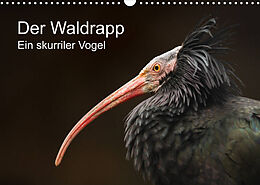 Kalender Der Waldrapp - Ein skurriler Vogel (Wandkalender 2022 DIN A3 quer) von Cloudtail the Snow Leopard