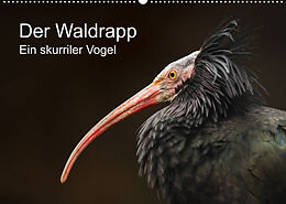 Kalender Der Waldrapp - Ein skurriler Vogel (Wandkalender 2022 DIN A2 quer) von Cloudtail the Snow Leopard