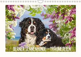 Kalender Berner Sennenhunde - Träumereien (Wandkalender 2022 DIN A4 quer) von Sigrid Starick