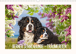 Kalender Berner Sennenhunde - Träumereien (Wandkalender 2022 DIN A3 quer) von Sigrid Starick