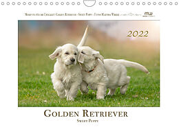 Kalender Golden Retriever - Sweet Puppy (Wandkalender 2022 DIN A4 quer) von Martina Wrede
