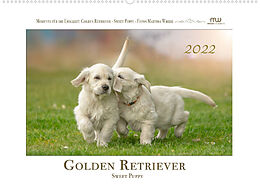 Kalender Golden Retriever - Sweet Puppy (Wandkalender 2022 DIN A2 quer) von Martina Wrede