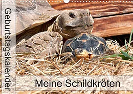 Kalender Meine Schildkröten - Geburtstagskalender (Wandkalender 2022 DIN A3 quer) von Marion Sixt