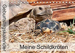 Kalender Meine Schildkröten - Geburtstagskalender (Tischkalender 2022 DIN A5 quer) von Marion Sixt