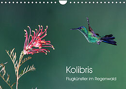 Kalender Kolibris - Flugkünstler im Regenwald (Wandkalender 2022 DIN A4 quer) von David Oberholzer