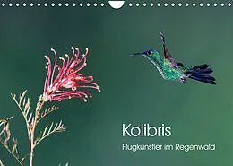 Kalender Kolibris - Flugkünstler im Regenwald (Wandkalender 2022 DIN A4 quer) von David Oberholzer