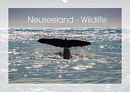 Kalender Neuseeland - Wildlife (Wandkalender 2022 DIN A3 quer) von Peter Schürholz