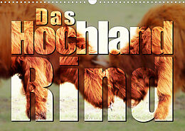 Kalender Das Hochlandrind (Wandkalender 2022 DIN A3 quer) von Birte Zabel