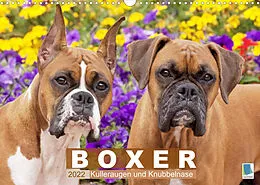 Kalender Boxer: Kulleraugen und Knubbelnase (Wandkalender 2022 DIN A3 quer) von CALVENDO