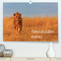 Kalender Tierparadies Kenia (Premium, hochwertiger DIN A2 Wandkalender 2022, Kunstdruck in Hochglanz) von David Oberholzer