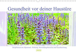 Kalender Gesundheit vor deiner Haustüre - Heilpflanzen am Alpenrand - Wirkung, Anwendungsbereiche und Teezubereitung (Wandkalender 2022 DIN A3 quer) von Michaela Schimmack