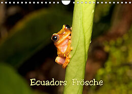 Kalender Ecuadors Frösche (Wandkalender 2022 DIN A4 quer) von Eerika Schulz
