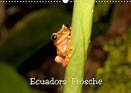 Kalender Ecuadors Frösche (Wandkalender 2022 DIN A3 quer) von Eerika Schulz