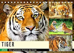 Kalender Tiger. Die schönsten Katzen der Erde (Tischkalender 2022 DIN A5 quer) von Rose Hurley