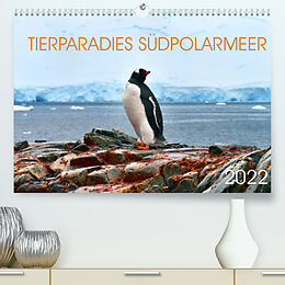 Kalender Tierparadies Südpolarmeer (Premium, hochwertiger DIN A2 Wandkalender 2022, Kunstdruck in Hochglanz) von Manfred Bergermann