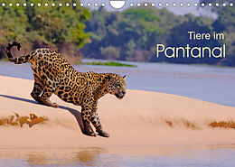 Kalender Tiere im Pantanal - viaje.ch (Wandkalender 2022 DIN A4 quer) von © viaje.ch