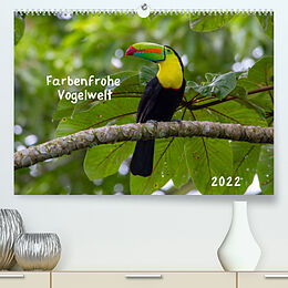 Kalender Farbenfrohe Vogelwelt (Premium, hochwertiger DIN A2 Wandkalender 2022, Kunstdruck in Hochglanz) von Marion Springer