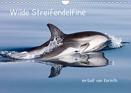 Kalender Wilde Streifendelfine im Golf von Korinth (Wandkalender 2022 DIN A4 quer) von Jörg Bouillon