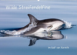 Kalender Wilde Streifendelfine im Golf von Korinth (Wandkalender 2022 DIN A2 quer) von Jörg Bouillon