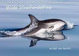 Kalender Wilde Streifendelfine im Golf von Korinth (Tischkalender 2022 DIN A5 quer) von Jörg Bouillon