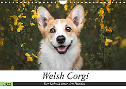 Kalender Welsh Corgi - Der Kobold unter den Hunden (Wandkalender 2022 DIN A4 quer) von Maria Ahrens