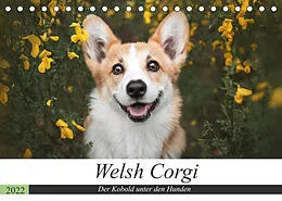 Kalender Welsh Corgi - Der Kobold unter den Hunden (Tischkalender 2022 DIN A5 quer) von Maria Ahrens