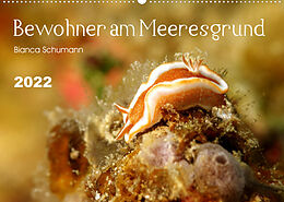 Kalender Bewohner am Meeresgrund (Wandkalender 2022 DIN A2 quer) von Bianca Schumann