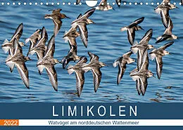 Kalender Limikolen - Watvögel am norddeutschen Wattenmeer (Wandkalender 2022 DIN A4 quer) von Arne Wünsche