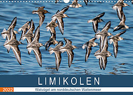 Kalender Limikolen - Watvögel am norddeutschen Wattenmeer (Wandkalender 2022 DIN A3 quer) von Arne Wünsche