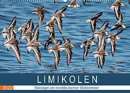 Kalender Limikolen - Watvögel am norddeutschen Wattenmeer (Wandkalender 2022 DIN A2 quer) von Arne Wünsche