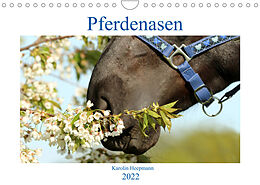 Kalender Pferdenasen (Wandkalender 2022 DIN A4 quer) von Karolin Heepmann - www.Karo-Fotos.de