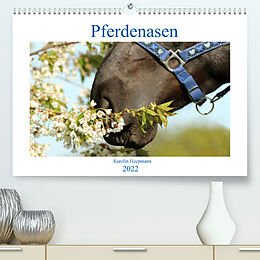 Kalender Pferdenasen (Premium, hochwertiger DIN A2 Wandkalender 2022, Kunstdruck in Hochglanz) von Karolin Heepmann - www.Karo-Fotos.de