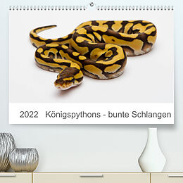 Kalender Königspythons - bunte Schlangen (Premium, hochwertiger DIN A2 Wandkalender 2022, Kunstdruck in Hochglanz) von Werner Lang