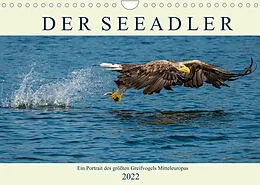 Kalender DER SEEADLER Ein Portrait des größten Greifvogels Mitteleuropas (Wandkalender 2022 DIN A4 quer) von Arne Wünsche