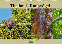 Kalender THAILANDS RAUBVÖGEL Exotische Greifvögel und Eulen (Wandkalender 2022 DIN A2 quer) von Arne Wünsche