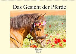 Kalender Das Gesicht der Pferde (Wandkalender 2022 DIN A2 quer) von Elke Laage