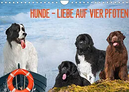 Kalender Hunde - Liebe auf vier Pfoten (Wandkalender 2022 DIN A4 quer) von Sigrid Starick