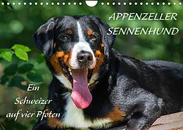 Kalender Appenzeller Sennenhund - Ein Schweizer auf 4 Pfoten (Wandkalender 2022 DIN A4 quer) von Sigrid Starick
