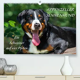 Kalender Appenzeller Sennenhund - Ein Schweizer auf 4 Pfoten (Premium, hochwertiger DIN A2 Wandkalender 2022, Kunstdruck in Hochglanz) von Sigrid Starick
