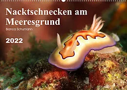 Kalender Nacktschnecken am Meeresgrund (Wandkalender 2022 DIN A2 quer) von Bianca Schumann